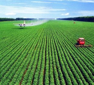 agriculture-e1671097330833