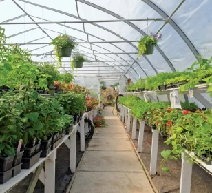 horticulture-e1671097267415